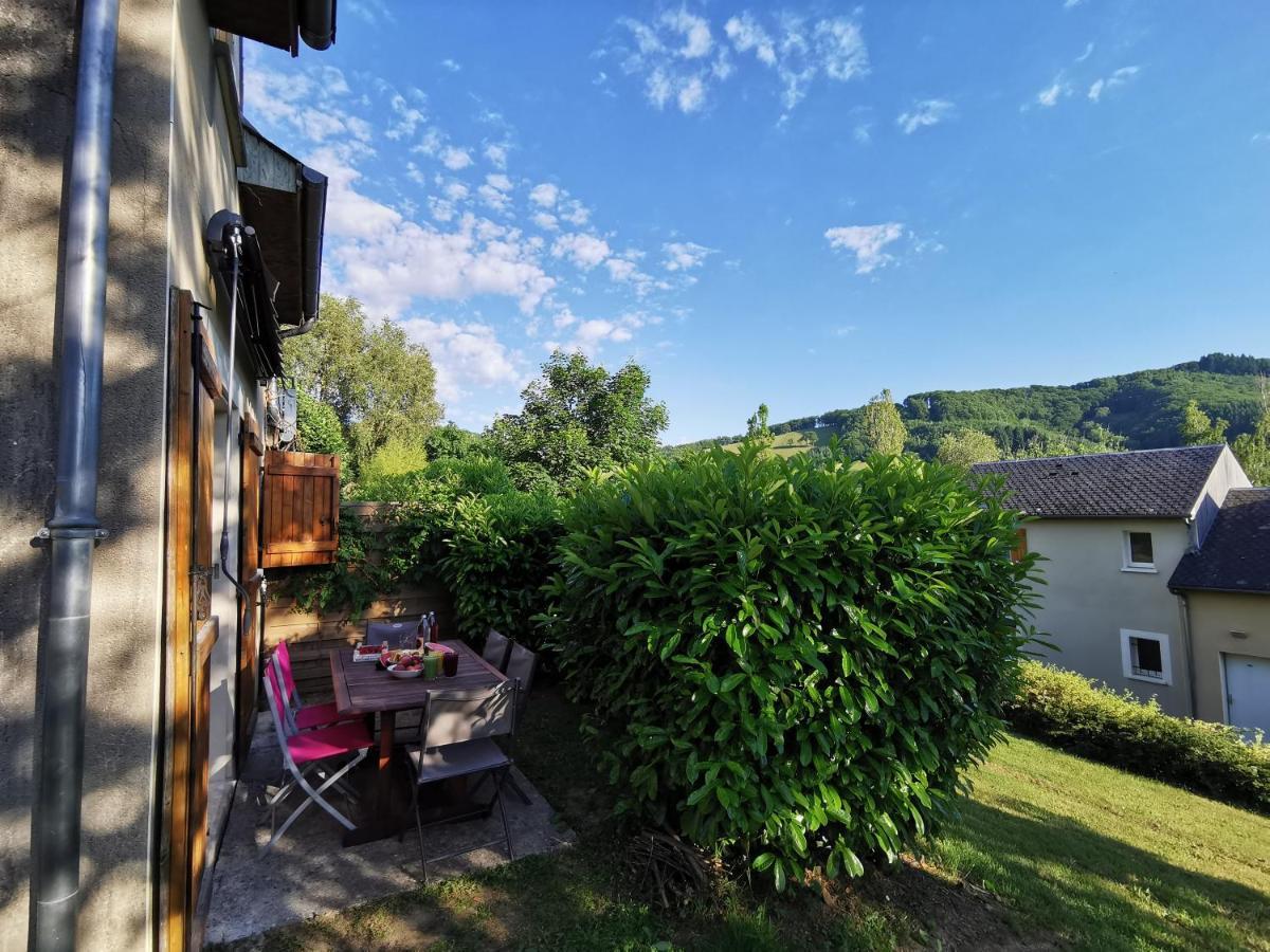 Au 11 T3 Duplex, Village Vacances, Piscines, Parking Saint-Geniez-dʼOlt Εξωτερικό φωτογραφία