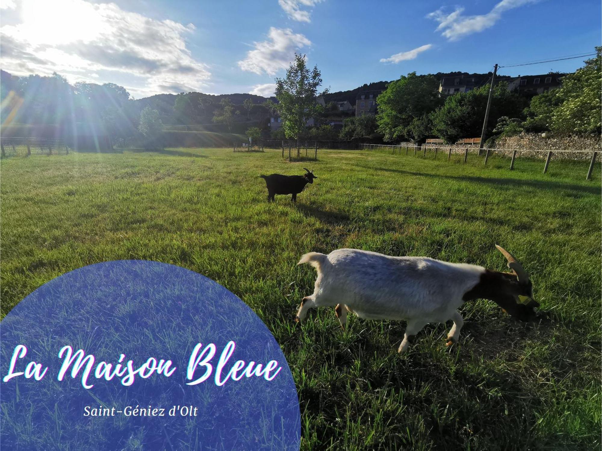 Au 11 T3 Duplex, Village Vacances, Piscines, Parking Saint-Geniez-dʼOlt Εξωτερικό φωτογραφία